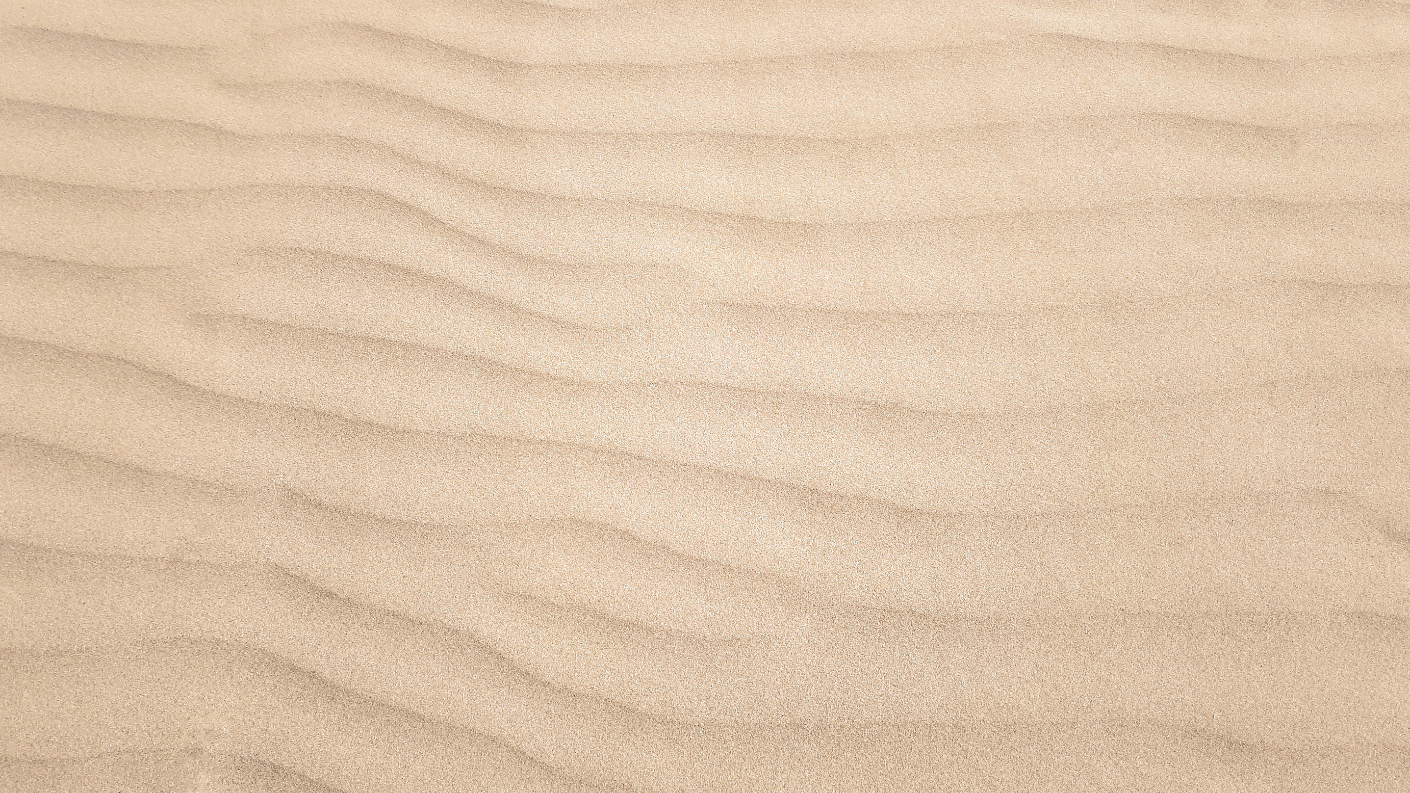 Sand Dune Ripples